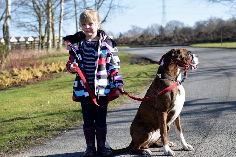 Dog walking with Reimatec jacket