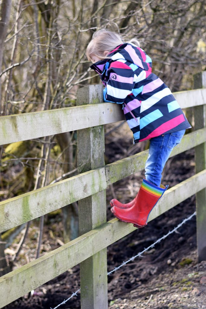 Amy climbing on a fence in her bright coat and wellies, looking for cows