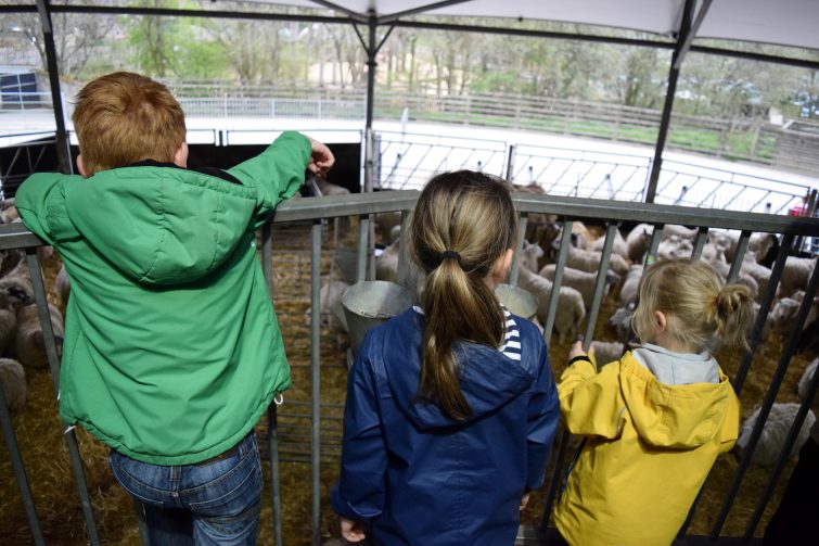 Raised viewing platforms at Canon Hall Farm