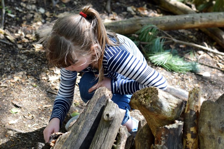 Outdoor Classroom Day - Den building in the forest
