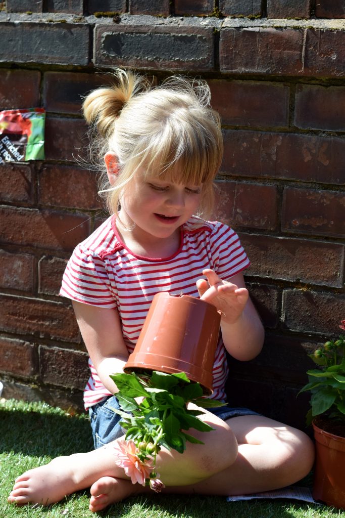Outdoor Classroom Day - Learning about plants