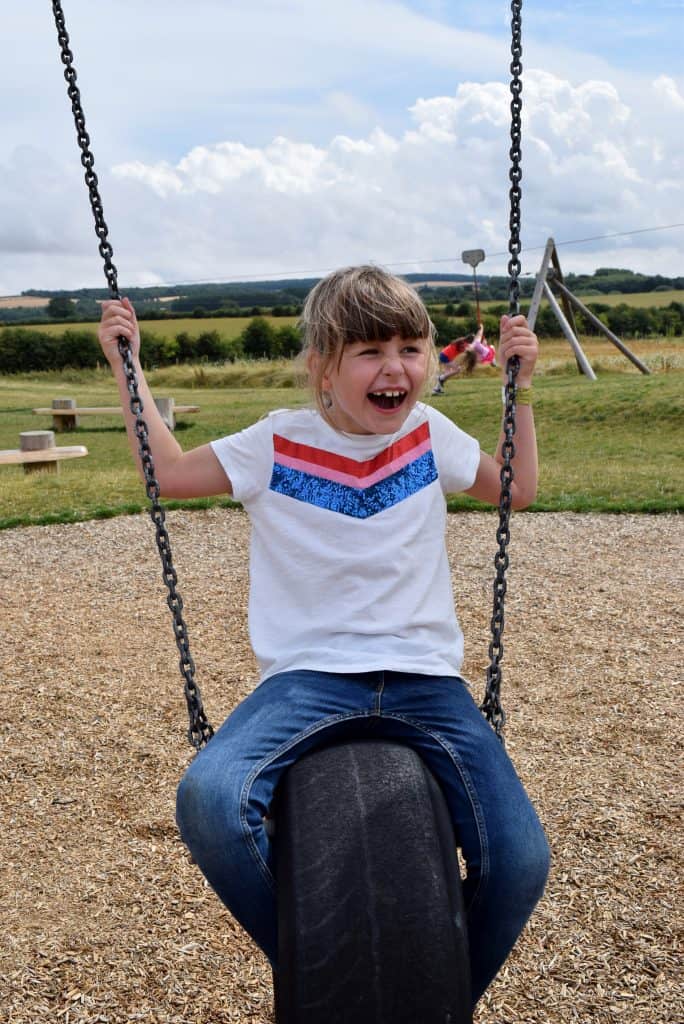 William's Den swings