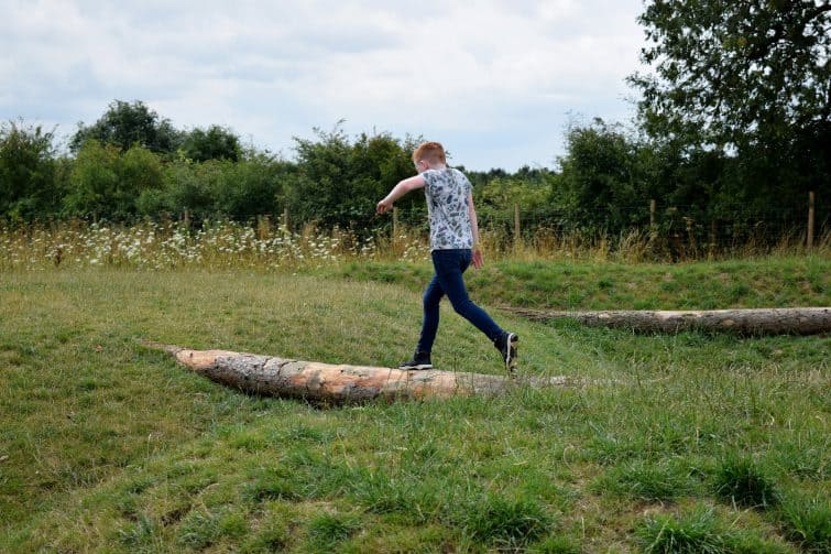 William's Den logs to balance on