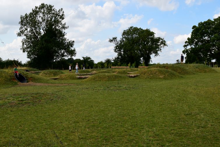 William's Den mole hills