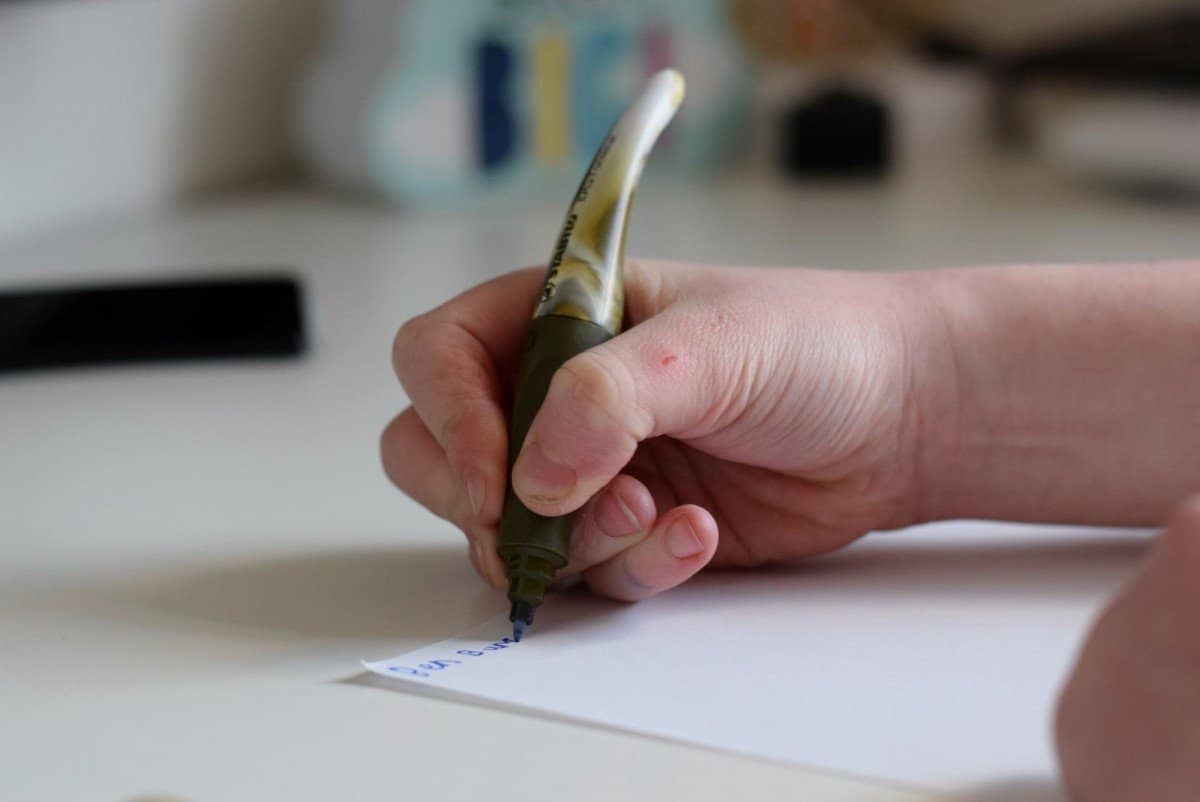 STABILO Easyoriginal handwriting pen