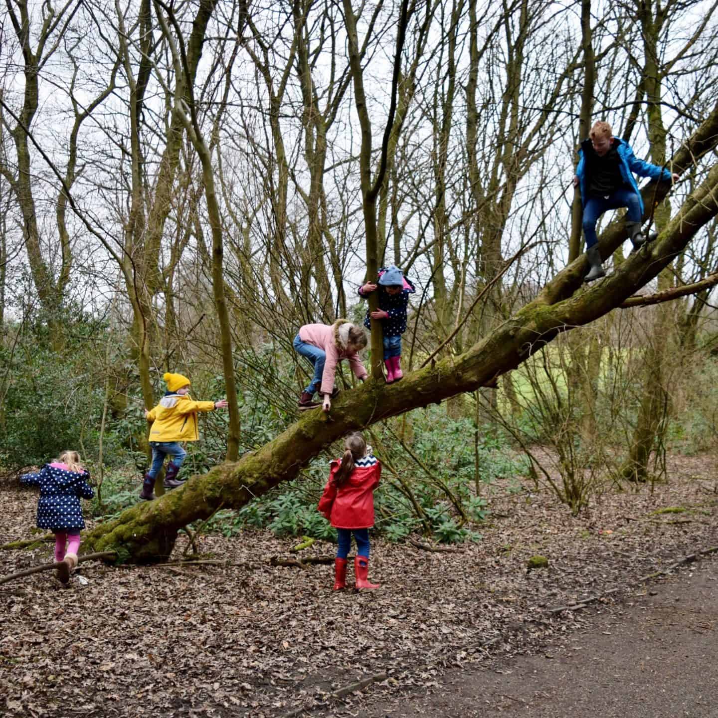 Heaton Park in Feb half term
