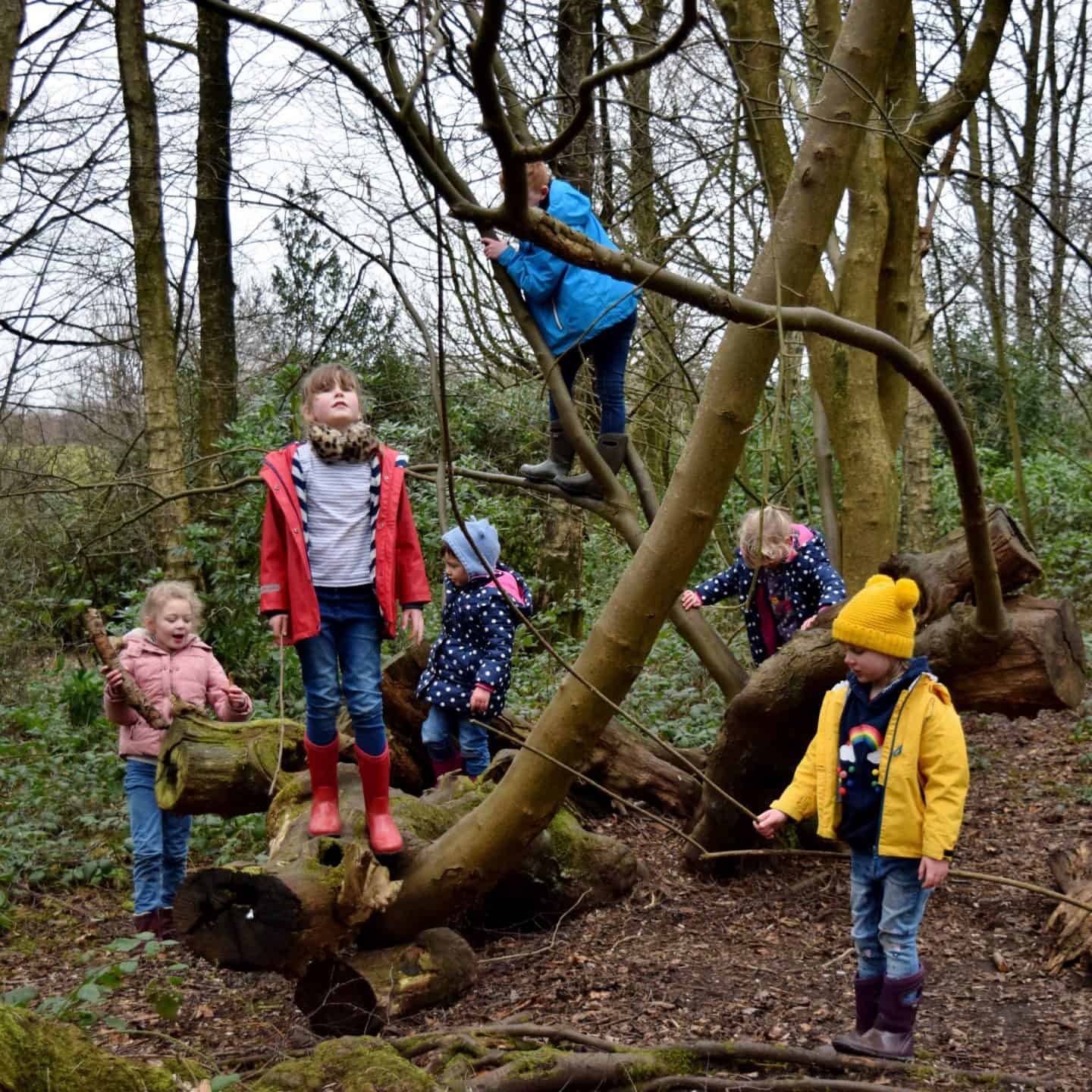 Kids climbing trees in Heaton Park