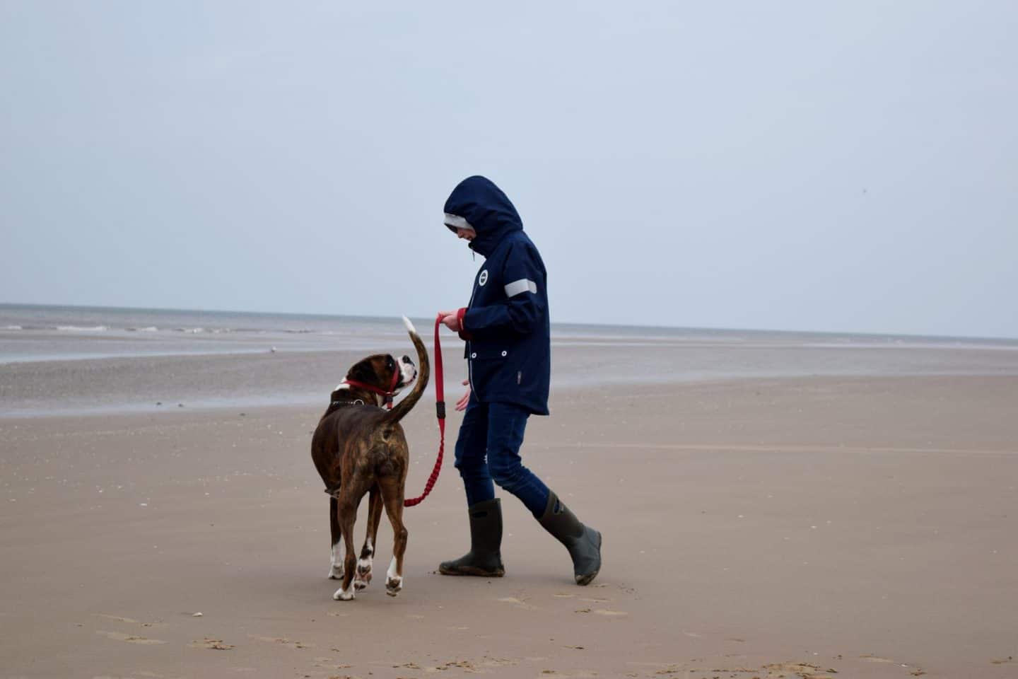 Dog walking at Formby Beach