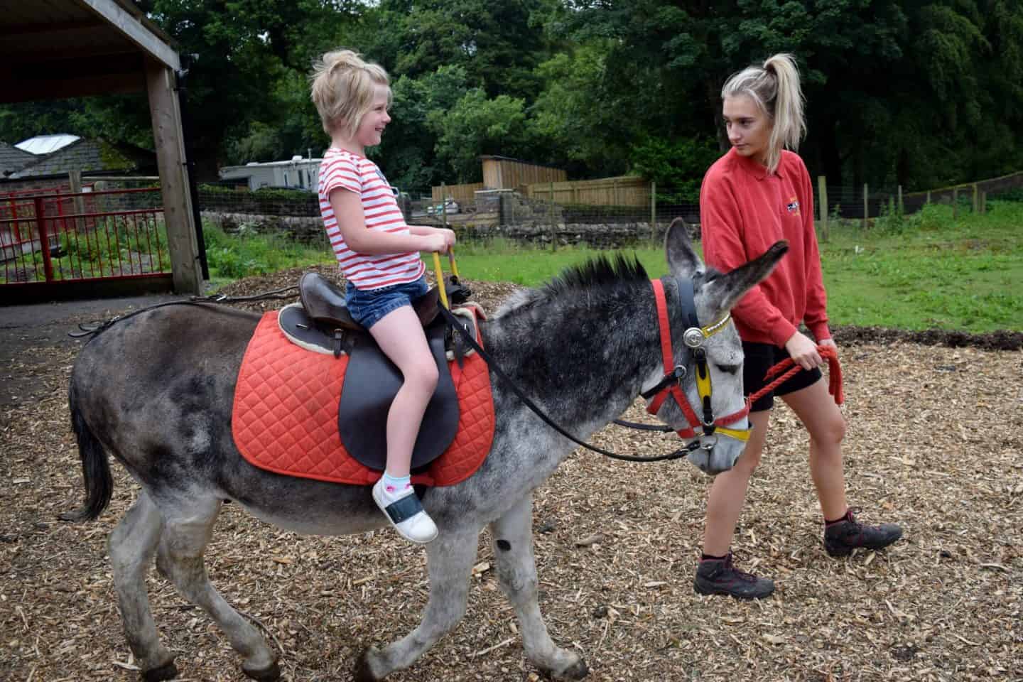 Little girl riding a donkey at Smithills Farm
