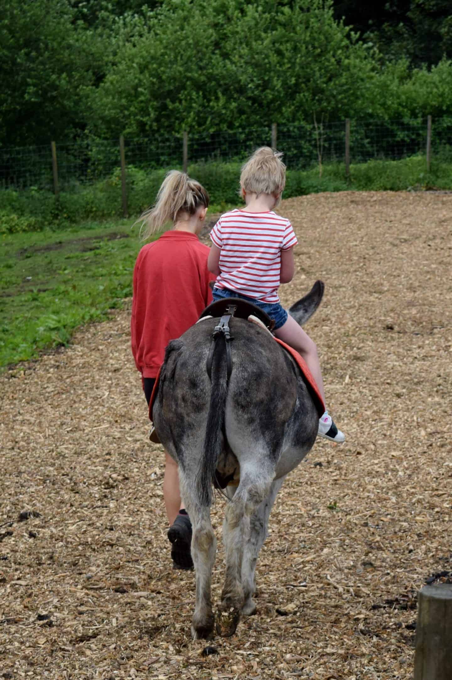 Donkey rides at Smithills Farm cost £1 and tickets can be bought at reception