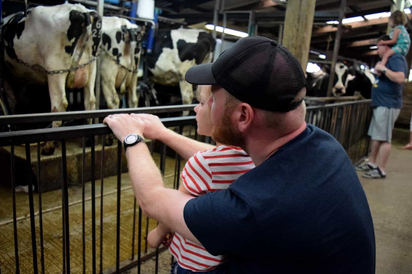 Dave and Amy watching the cows be milked at Smithills Farm in 2019