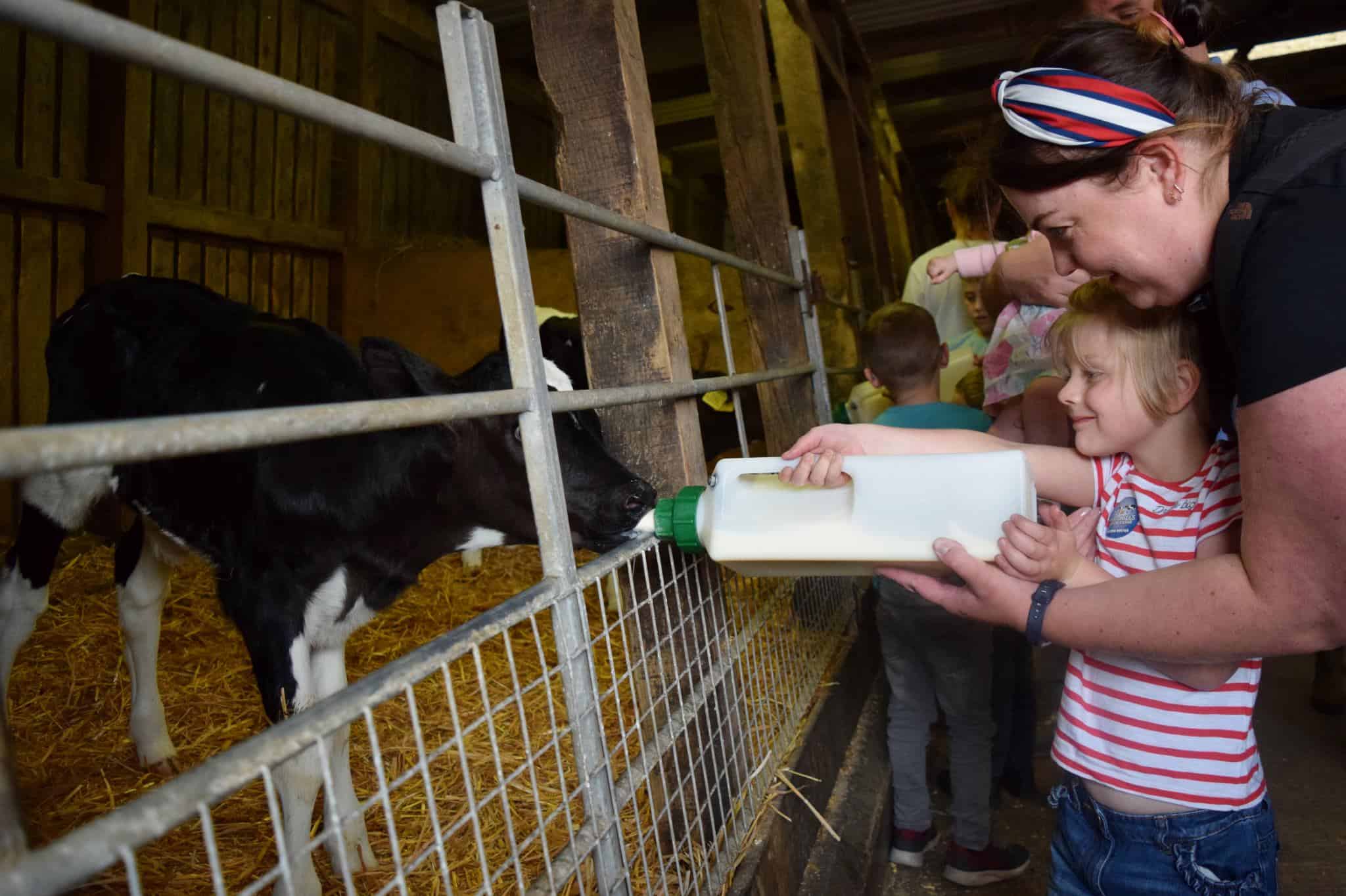 Little girl and her mum bottle feeding the baby calves at Smithills Farm