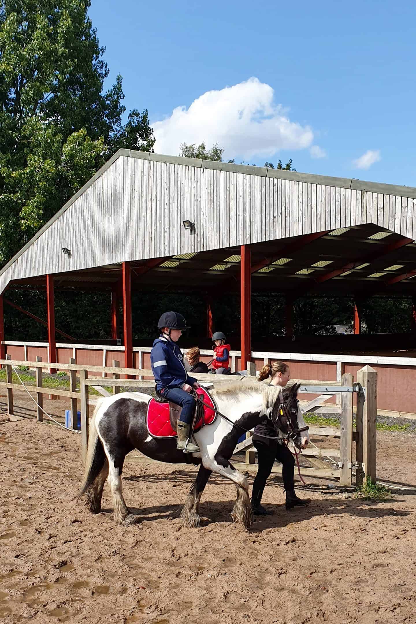 Horse riding lessons at Daisy Nook stables