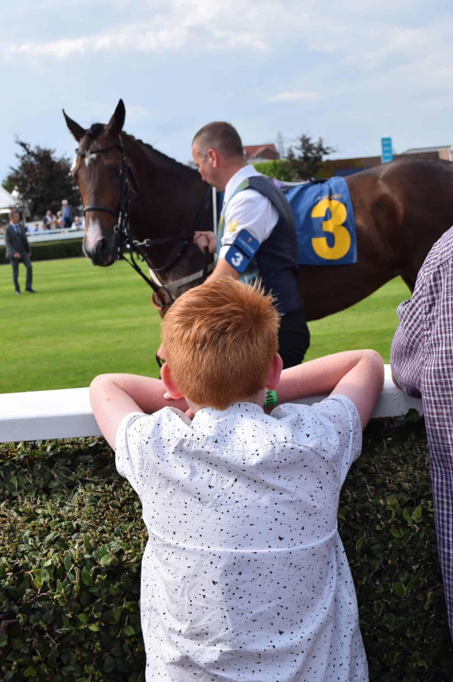 Under 18s Race Free - checking out the horses in the parade ring at Chester Races