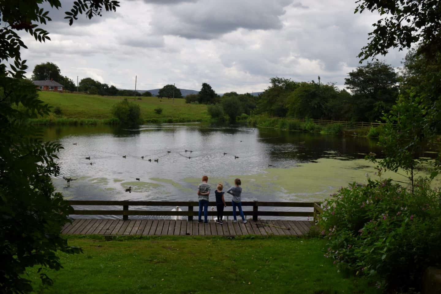 Siblings - August 2019