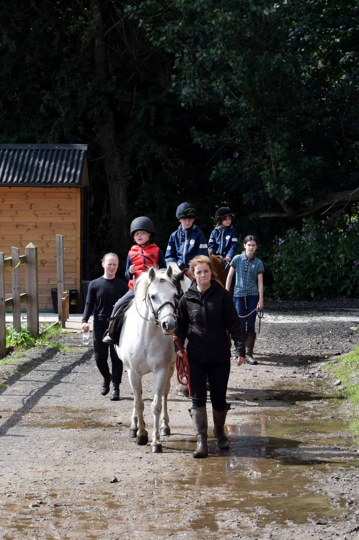 Horse riding lessons in Oldham