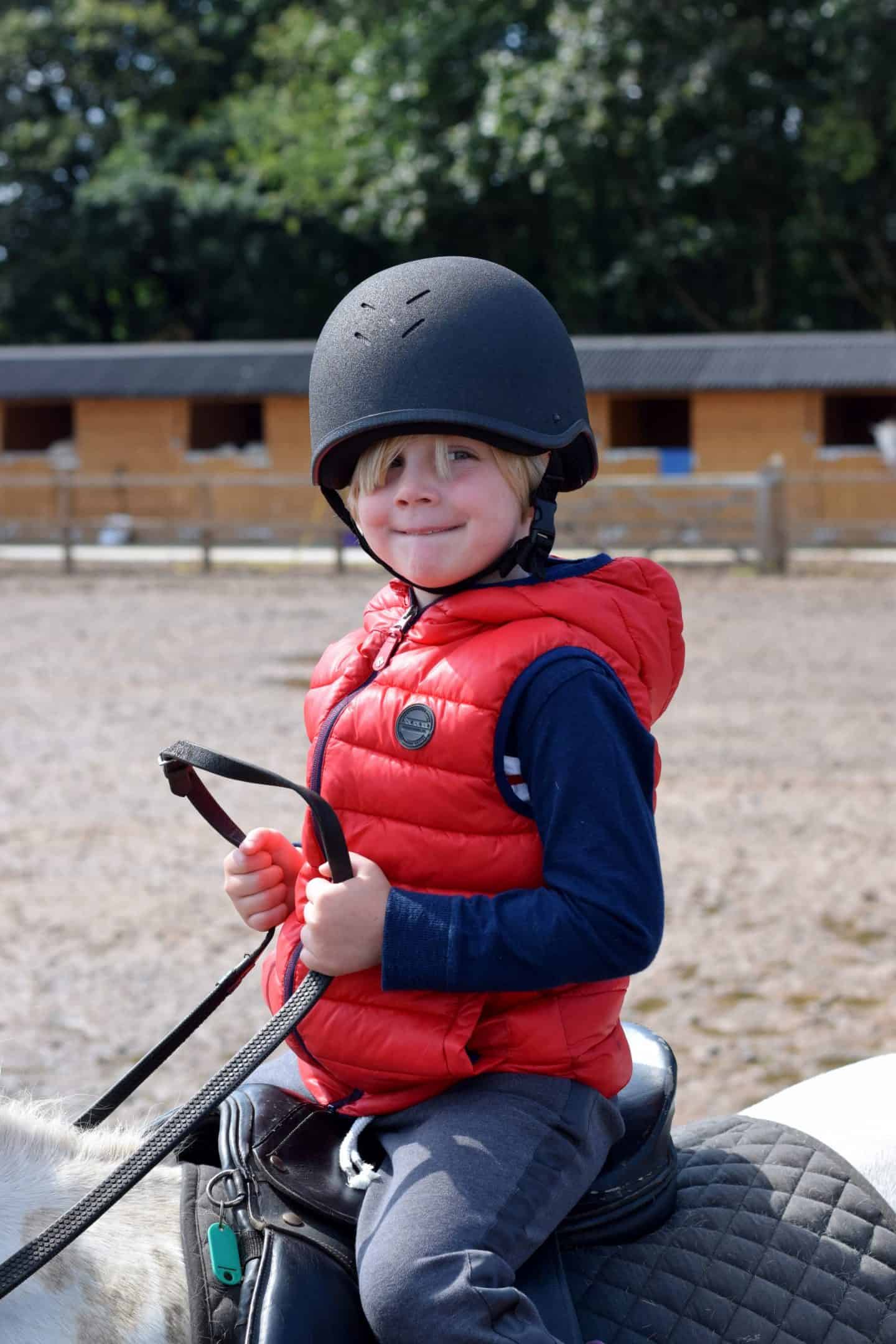 Little girl riding a horse, holding the reins