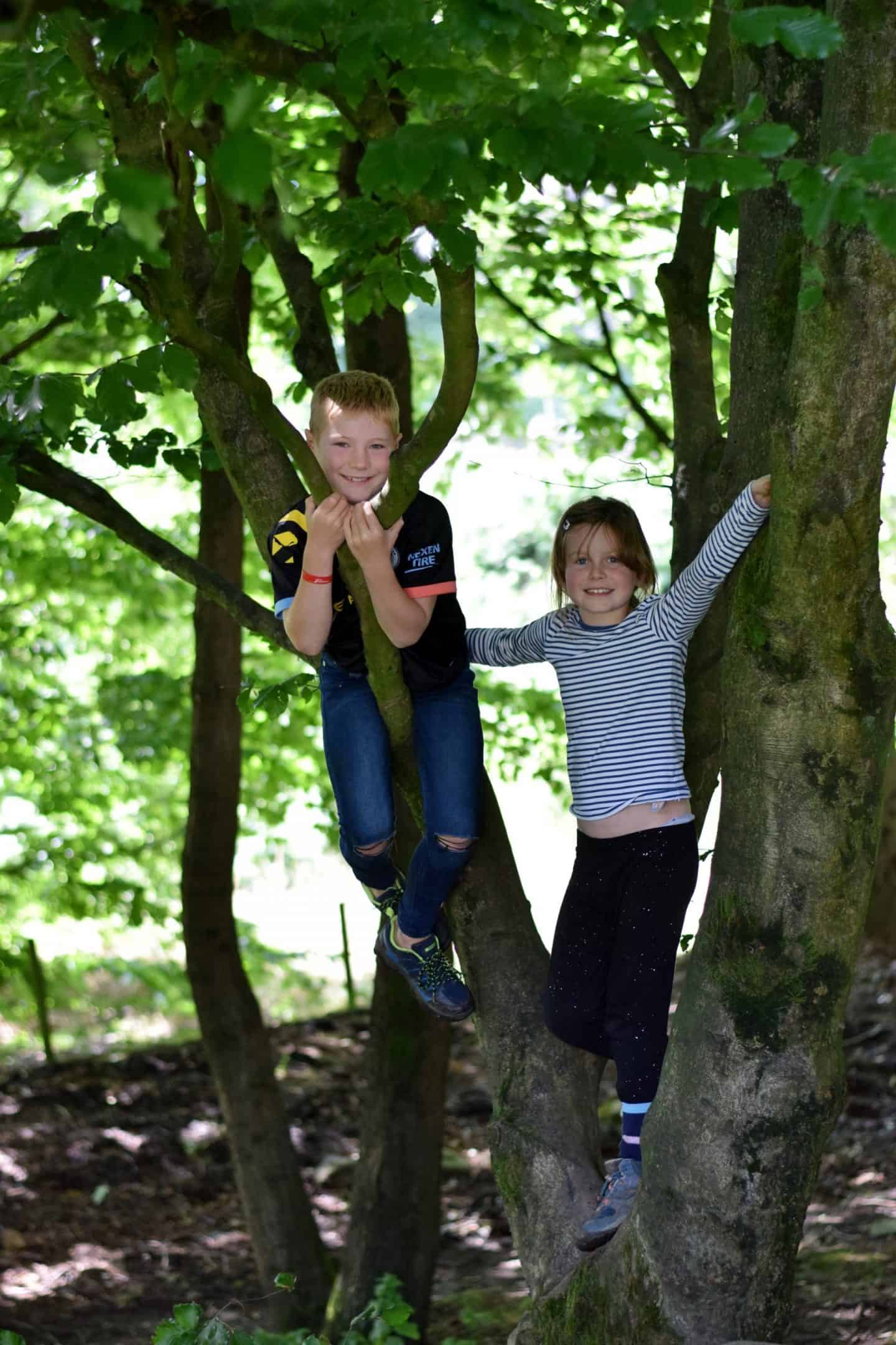 climbing in the trees at Crowden
