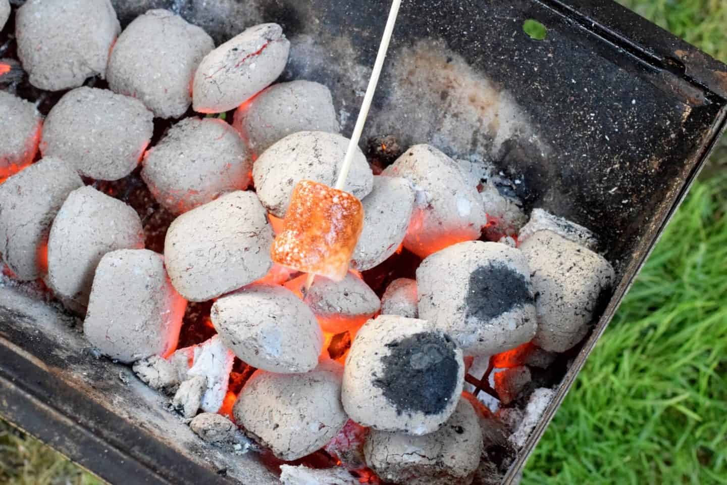 Toasting marshmallows over the campfire