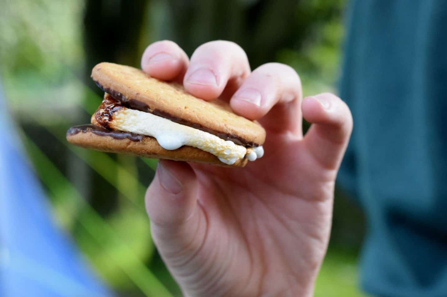 campfire shmores from the BBQ