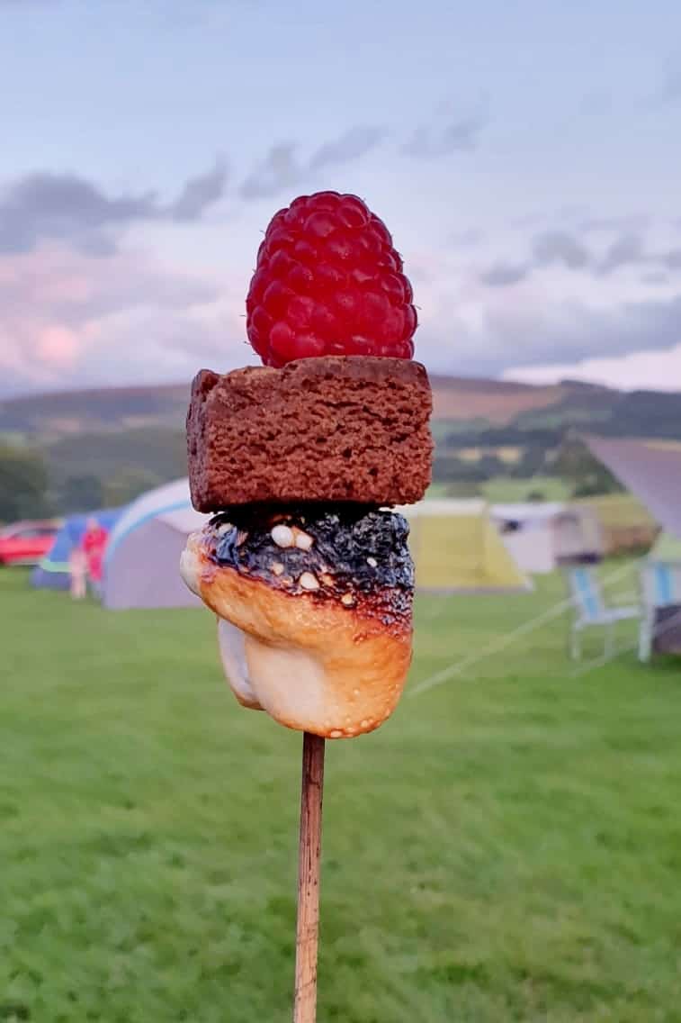 Bonfire marshmallow treats - campfire snacks