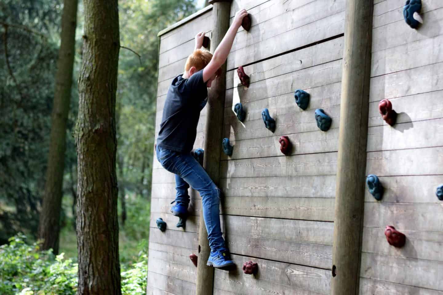 Climbing wall in the woods at Landal Darwin Forest