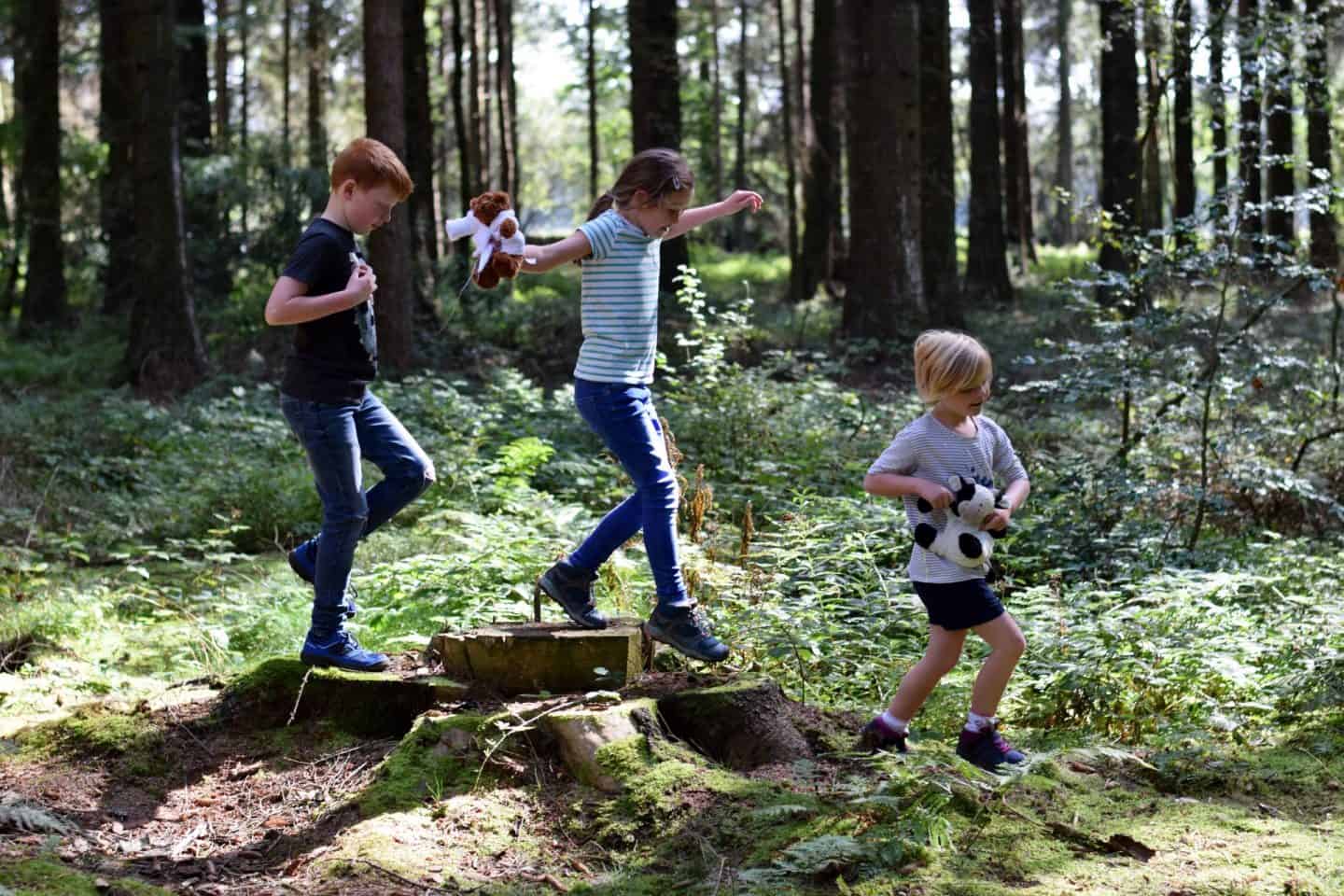 Children playing and exploring the woodland trails at Landal Darwin Forest in the peak district