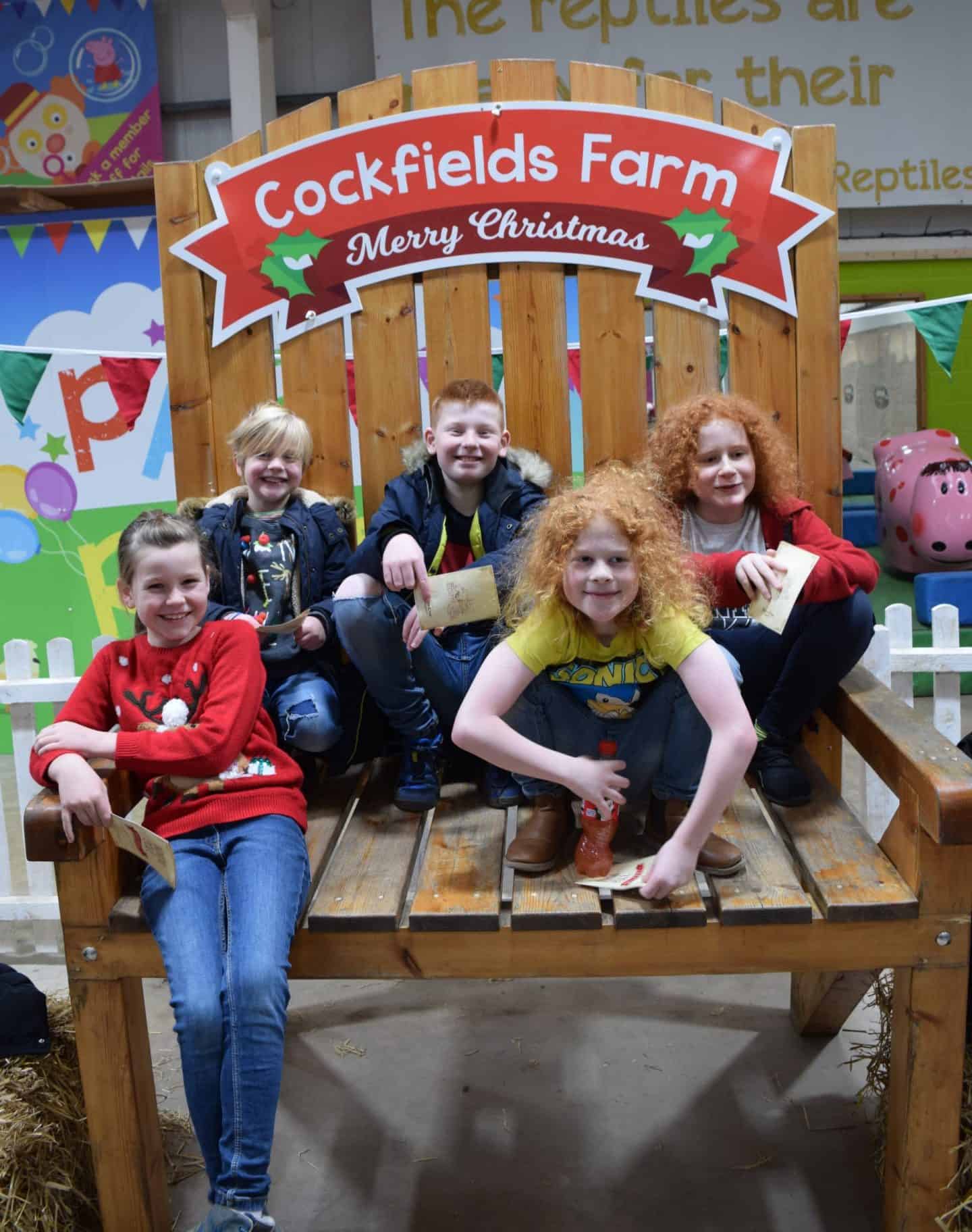 Cockfields Farm Christmas review