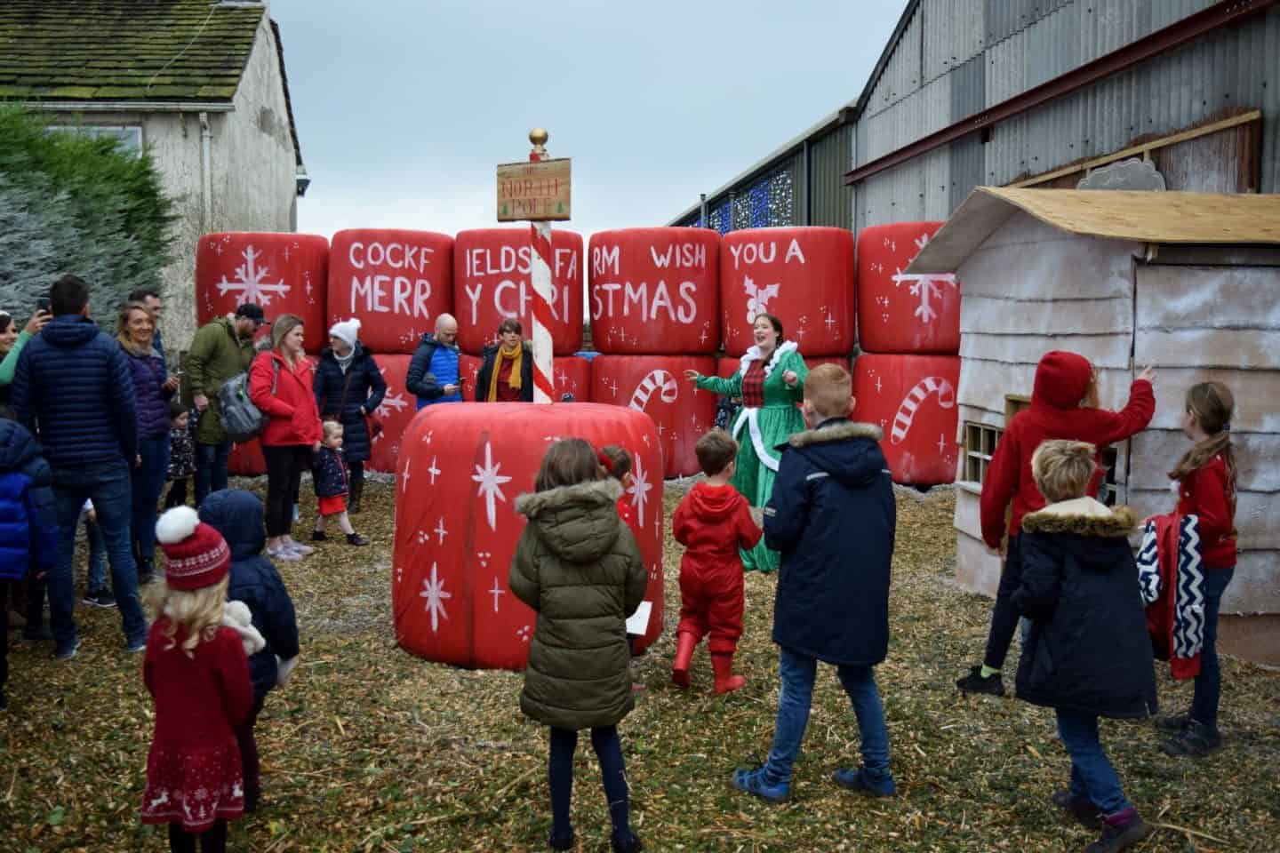 Candy Cane Lane - Cockfields Farm