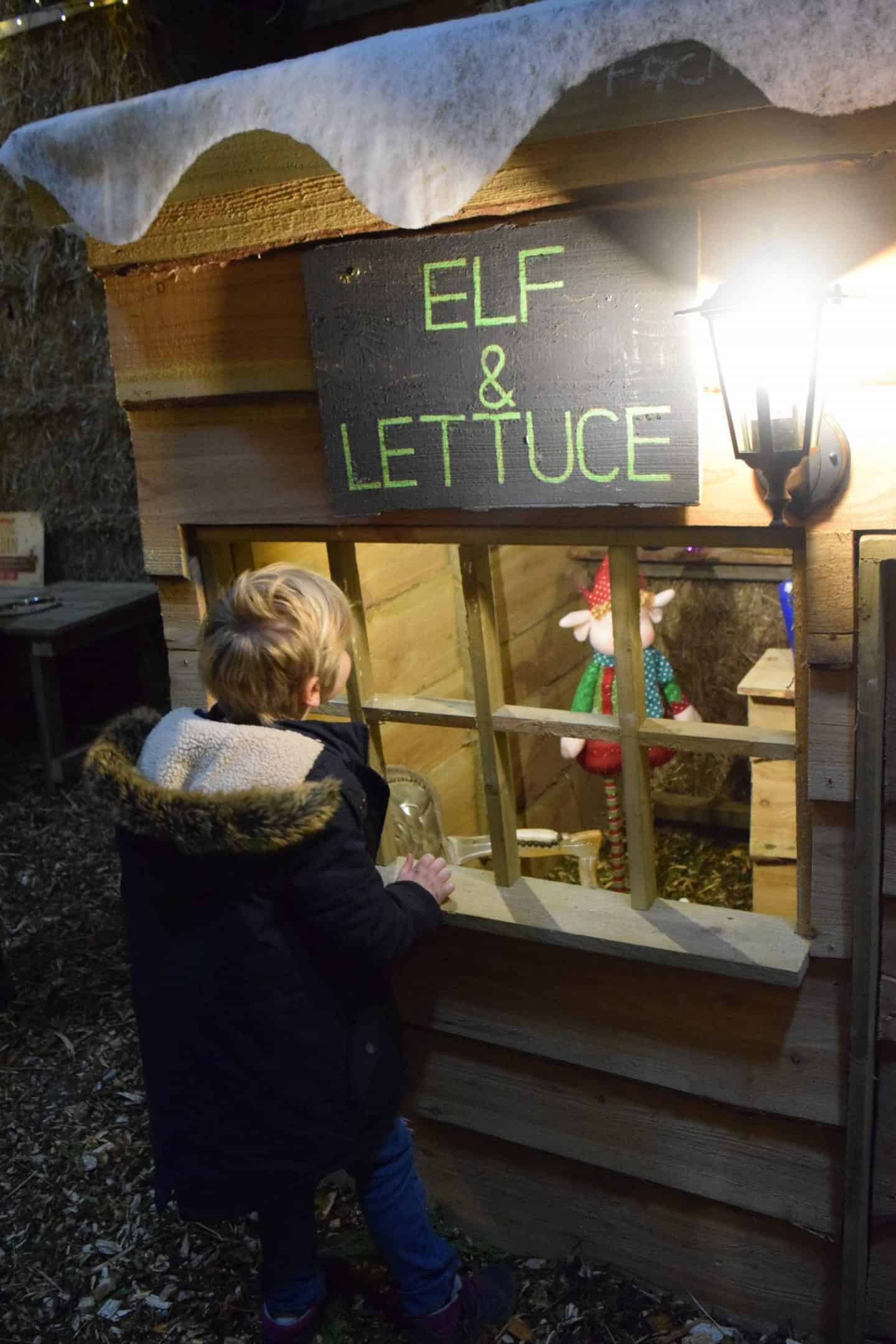 Elf pub!