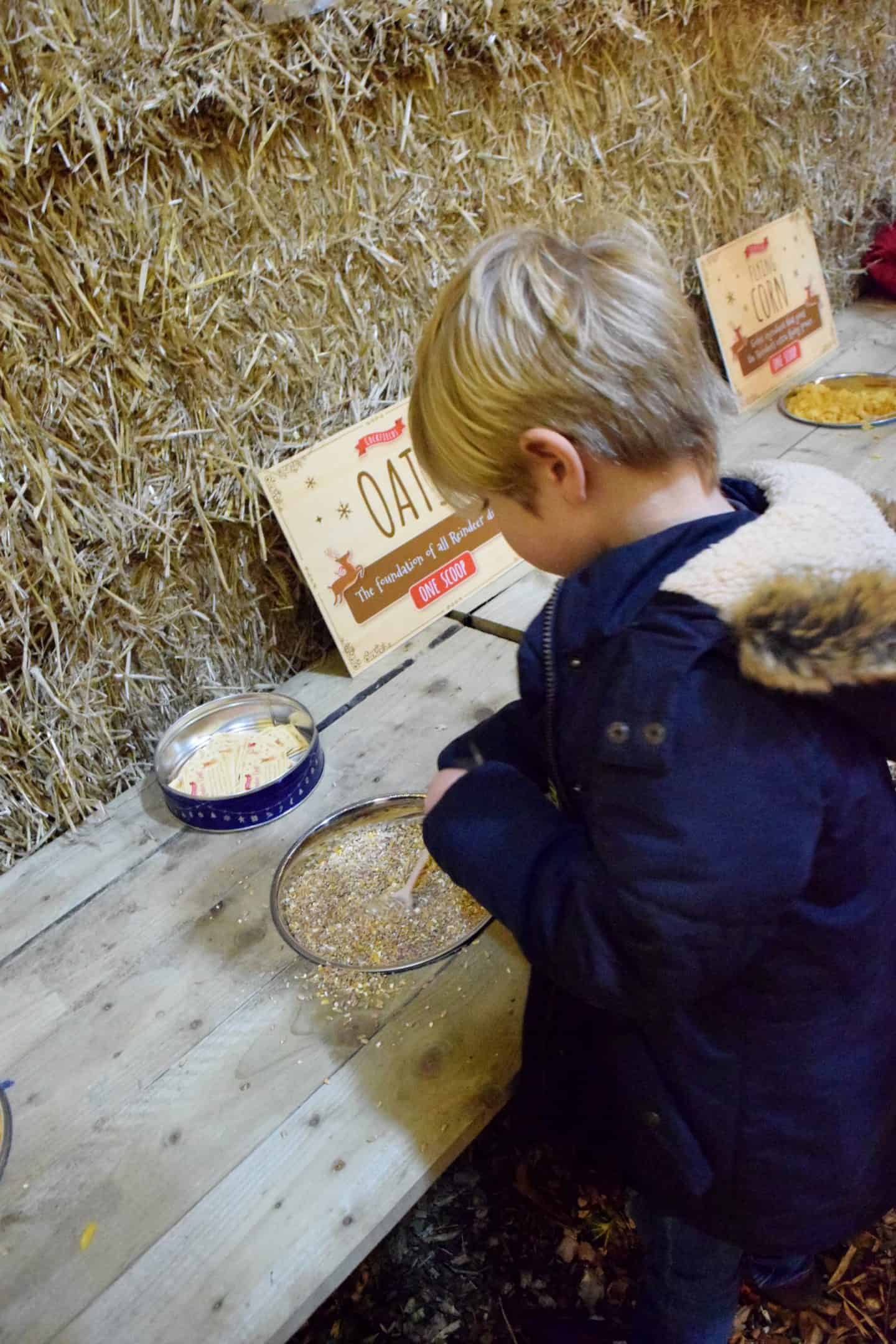 Glitter free reindeer food