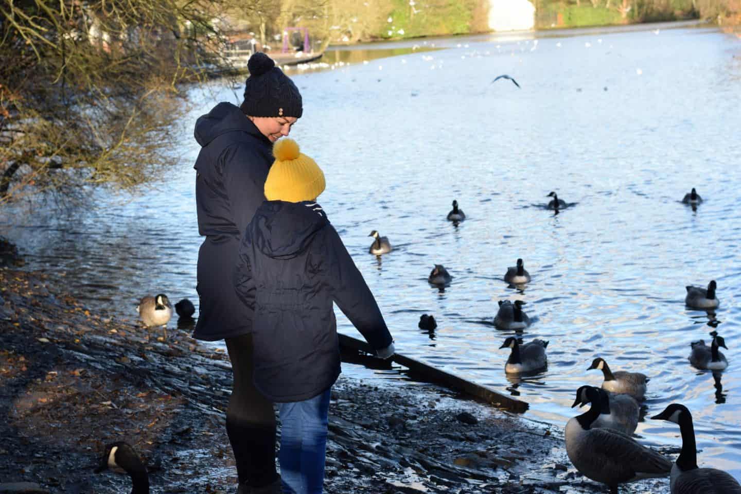 Feeding the ducks in Heaton Park