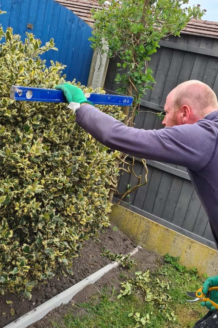 Using the spirit level to trim the hedge