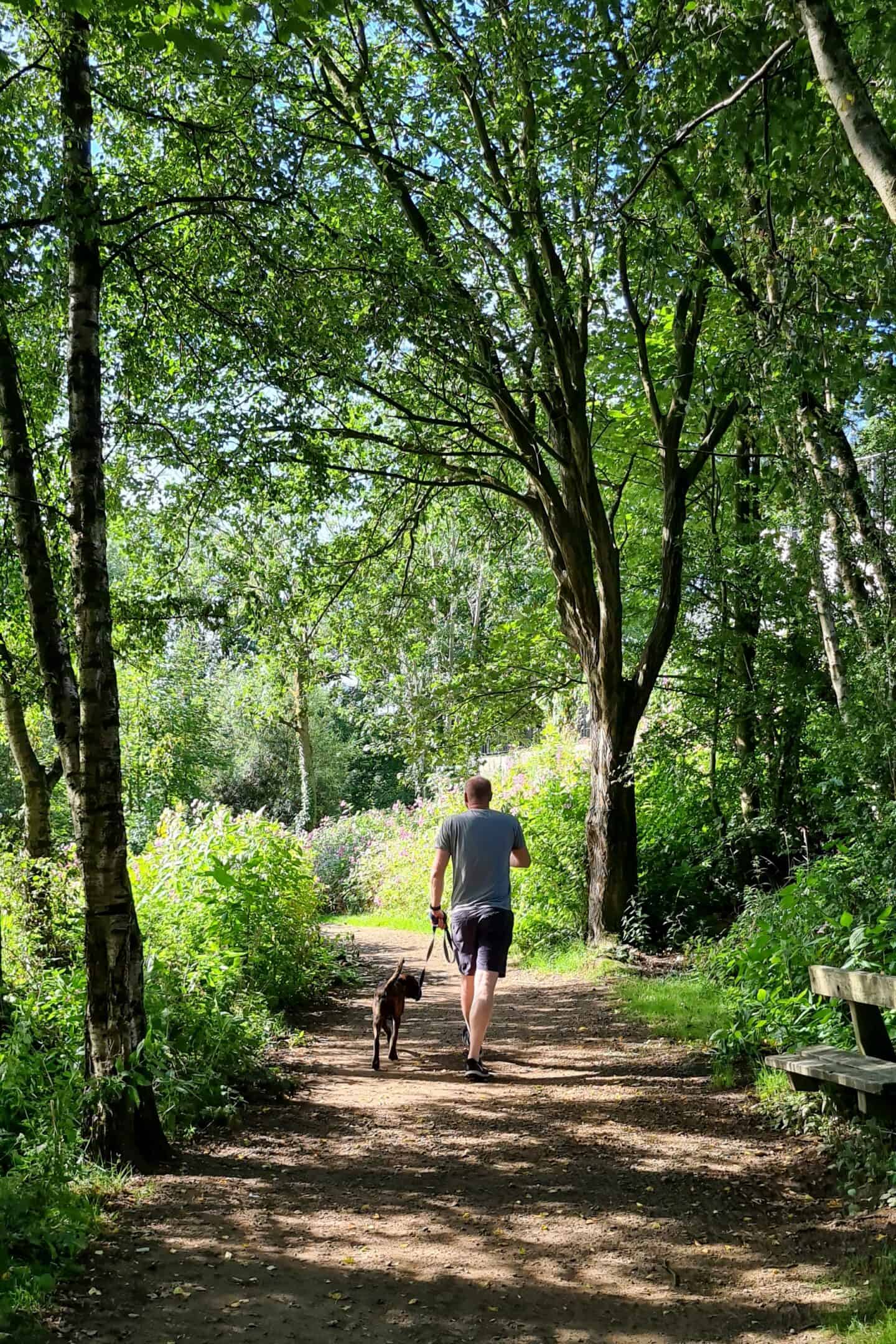 A sunny walk in Daisy Nook Country Park