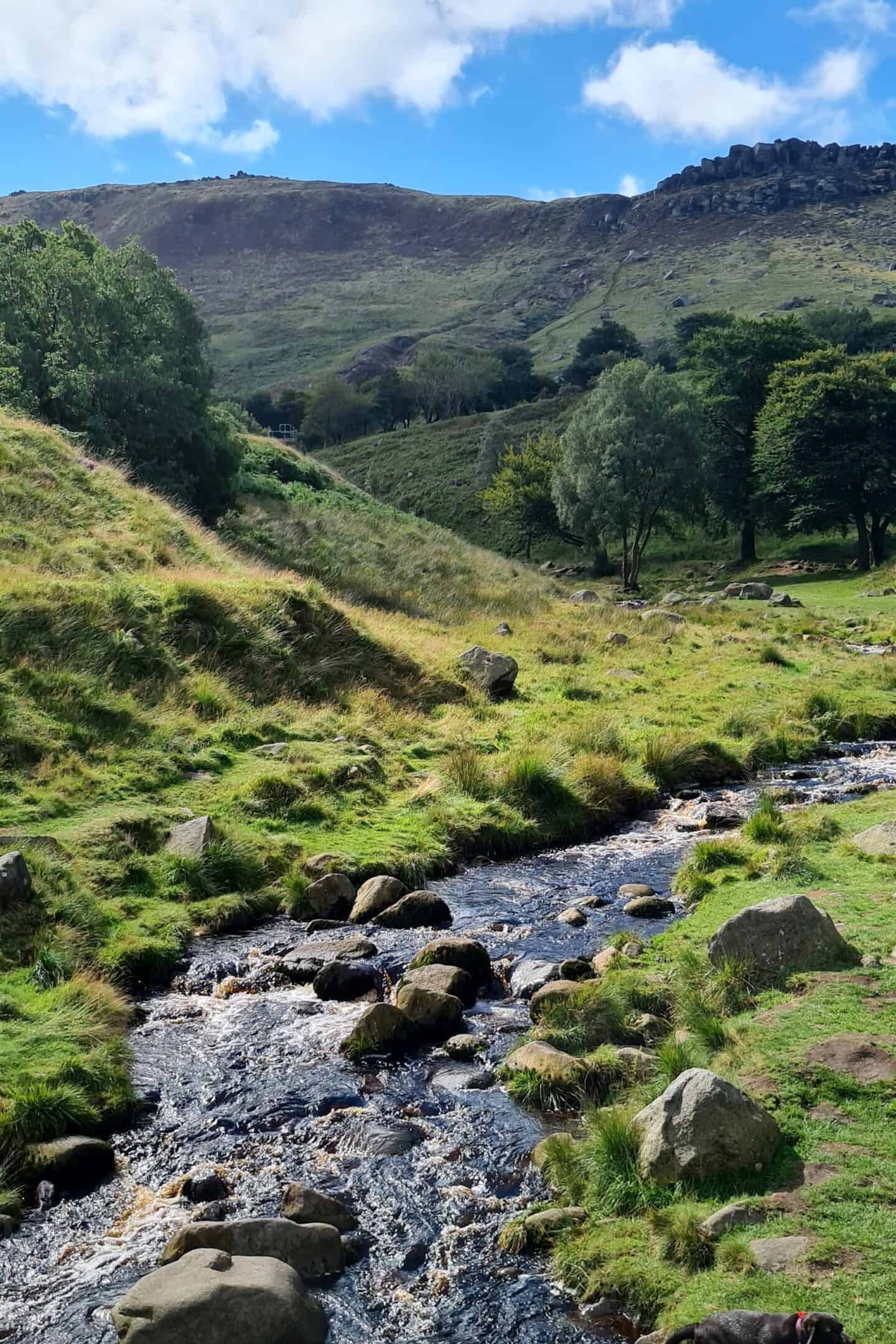 Rocks and a stream to paddle in at Dovestones - one of our favourite dog walks in the Greater Manchester area