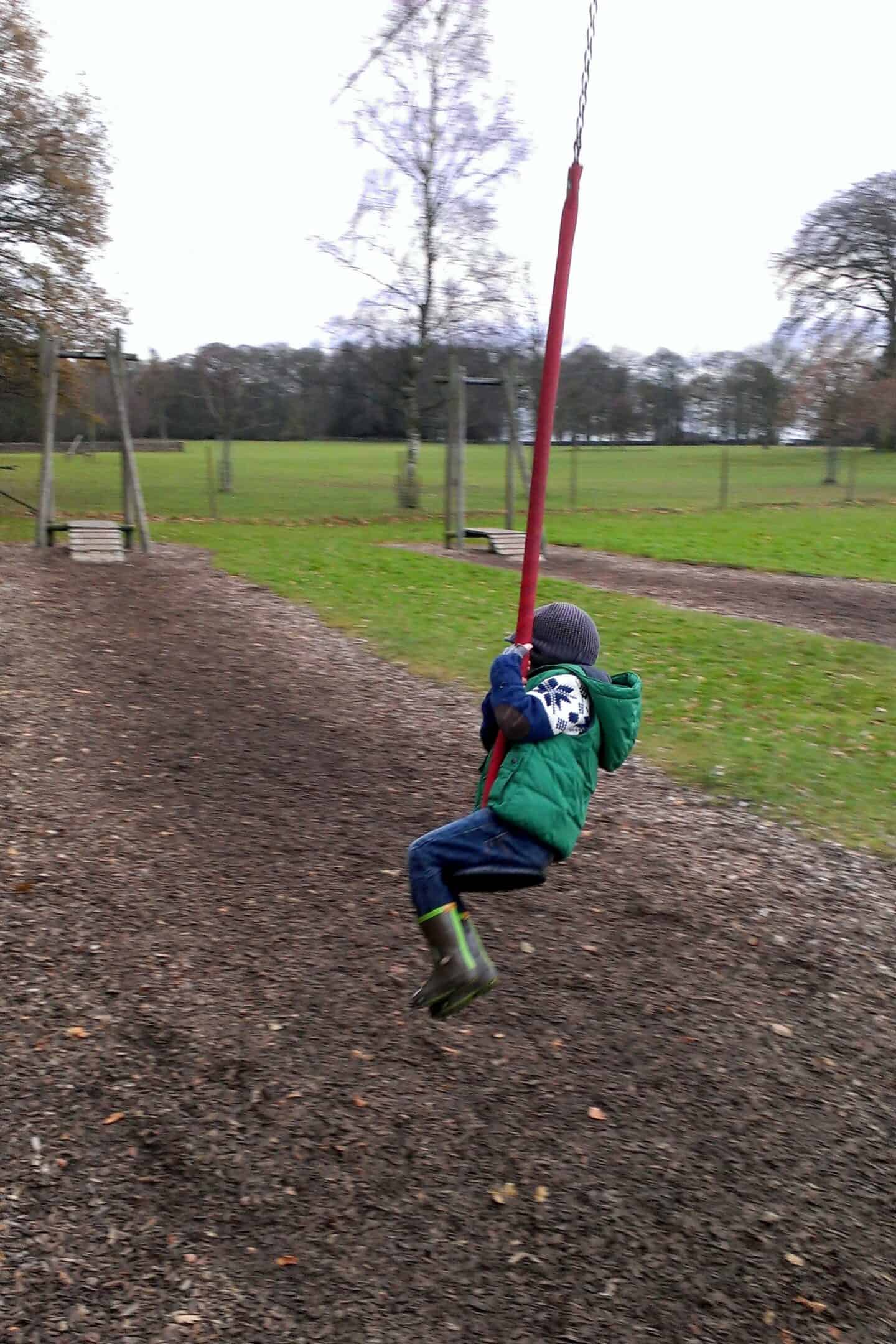 Zipline at Tatton Park