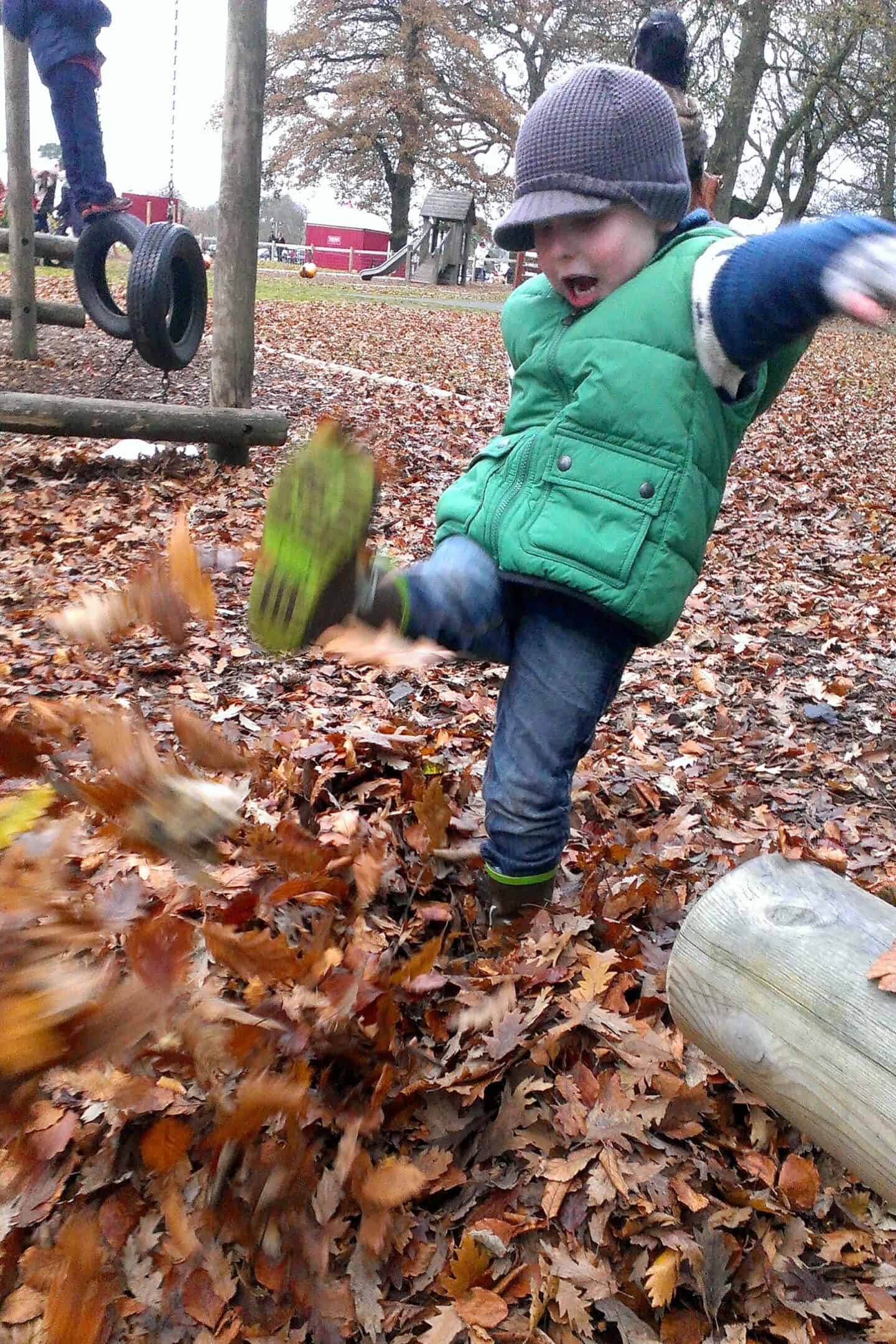 Kicking leaves in Tatton Park