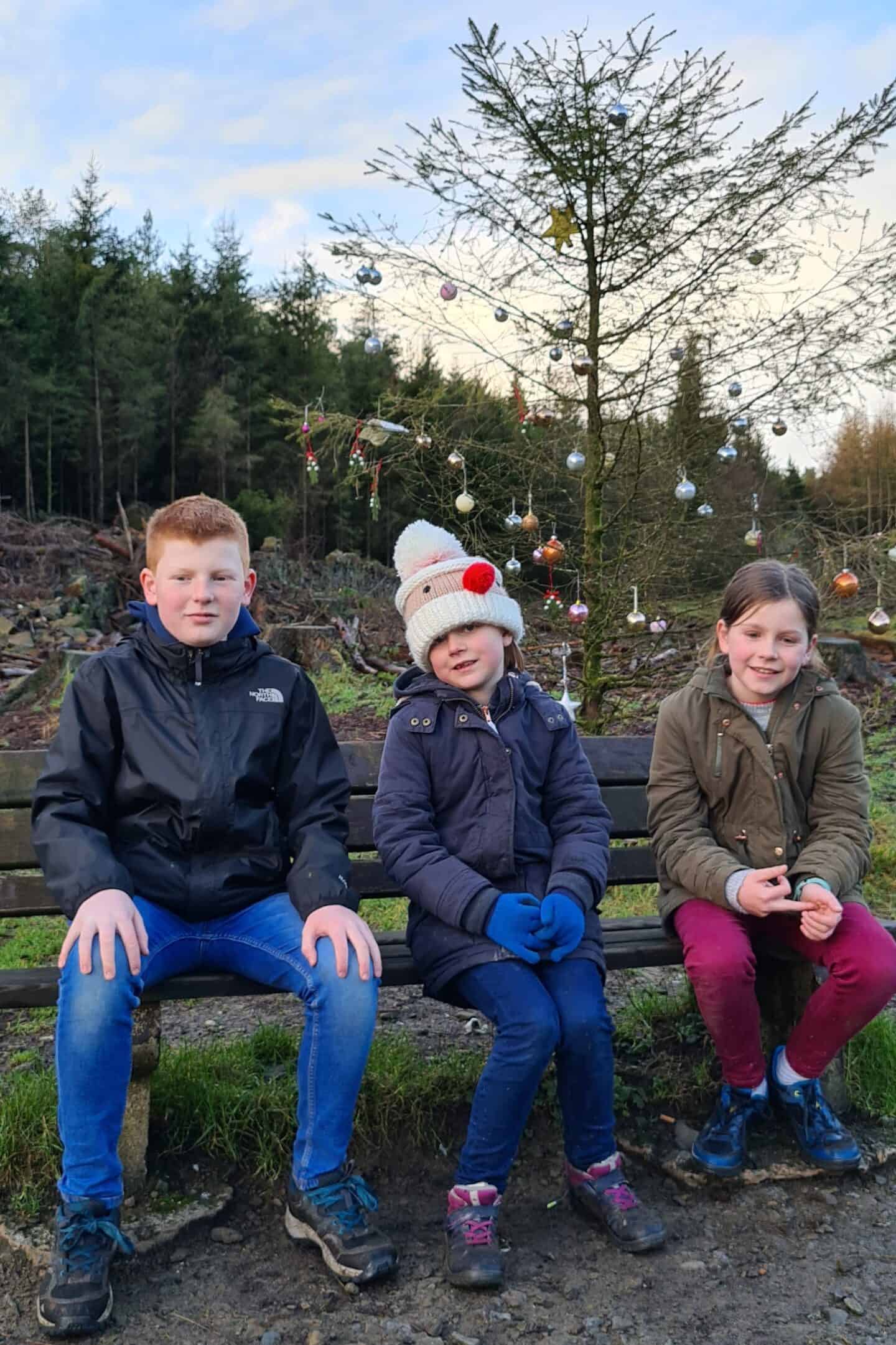 There's plenty of benches dotted around Entwistle Reservoir