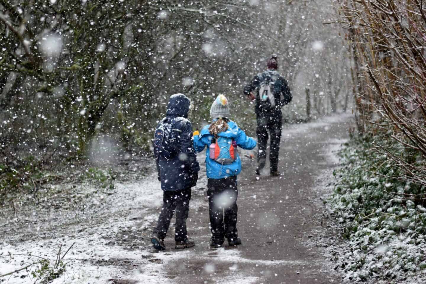 Tips for winter walks with kids - kids walking in the snow