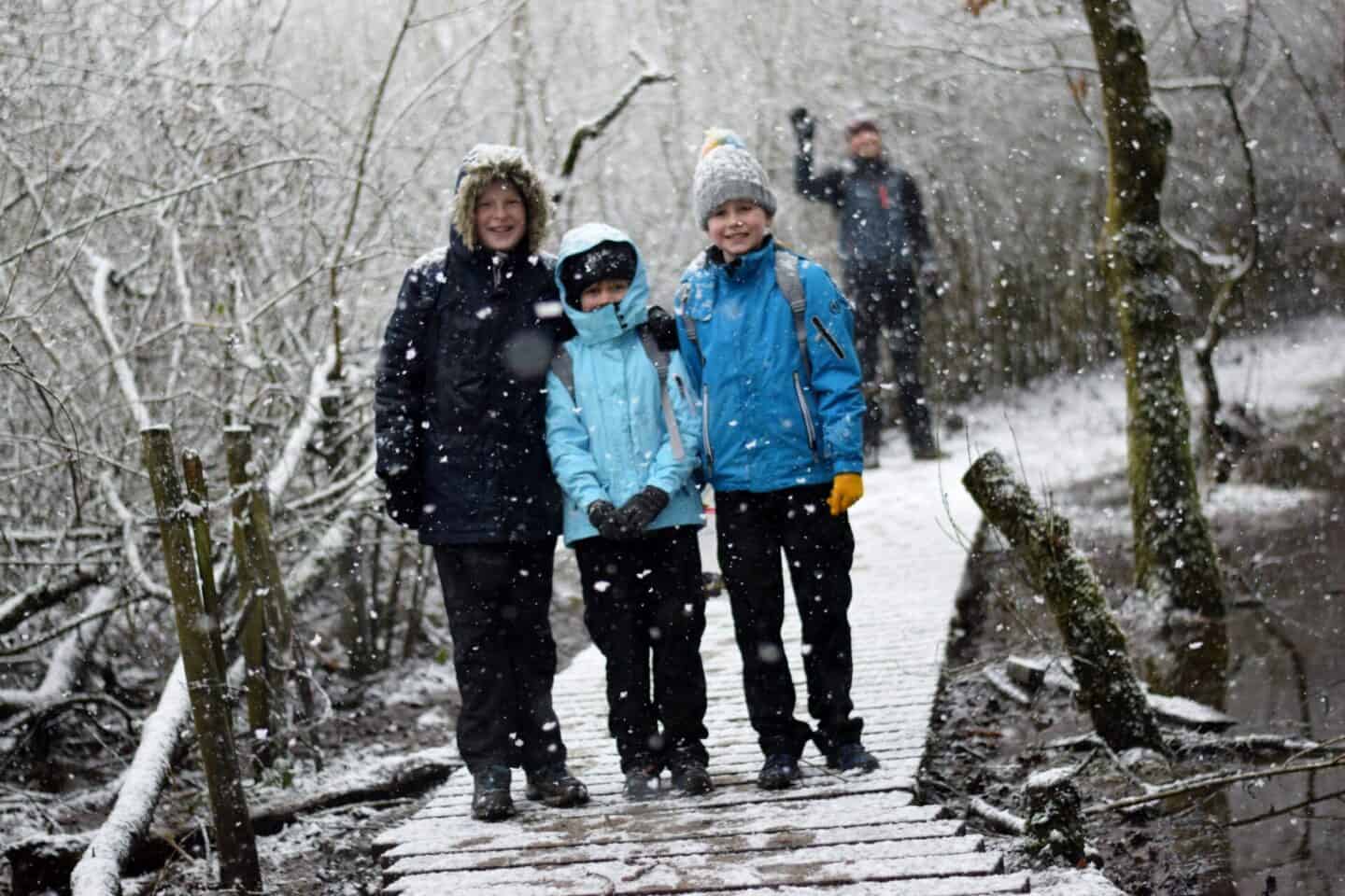 A snowy walk in Alkrington Woods