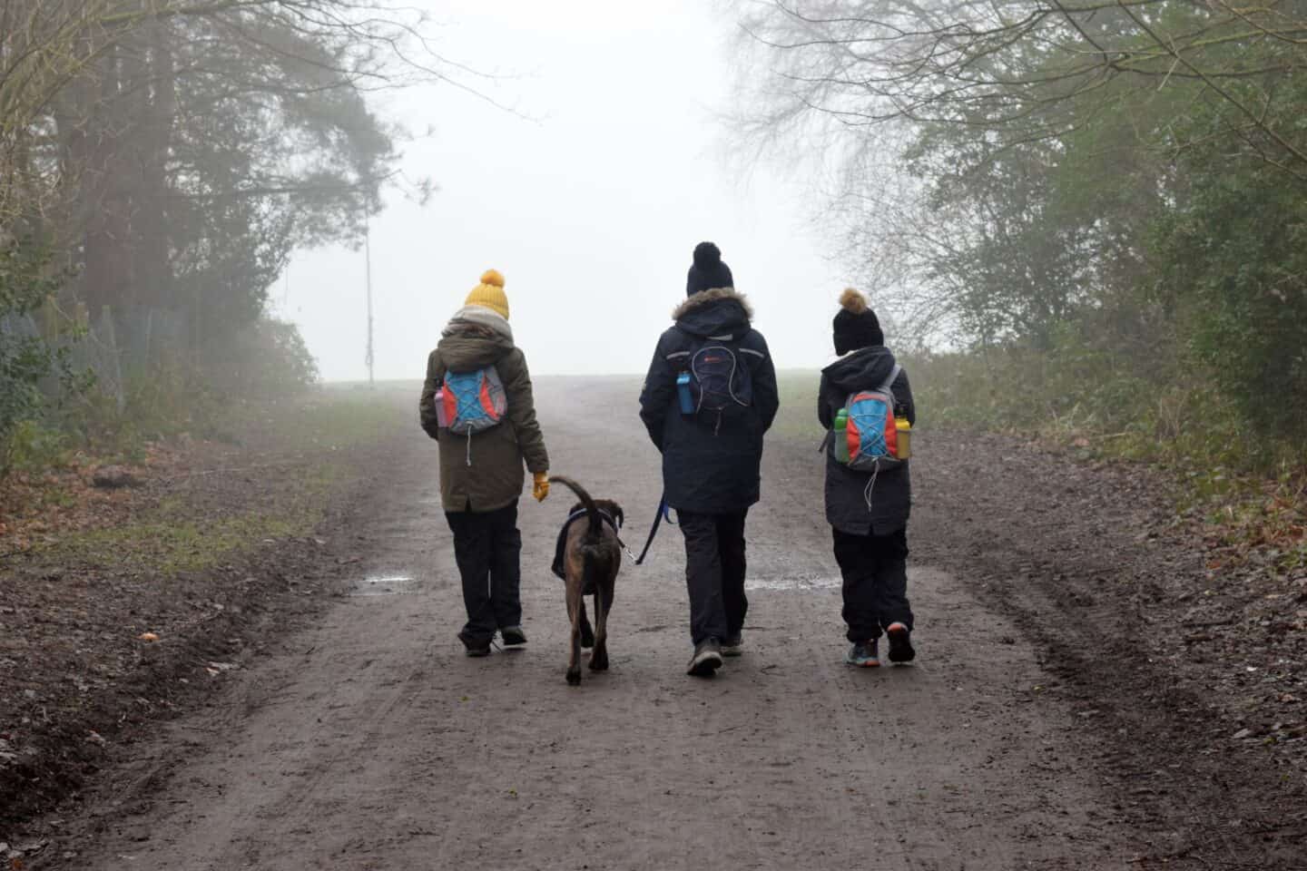 Three children and a dog walking into the fog at Heaton Park