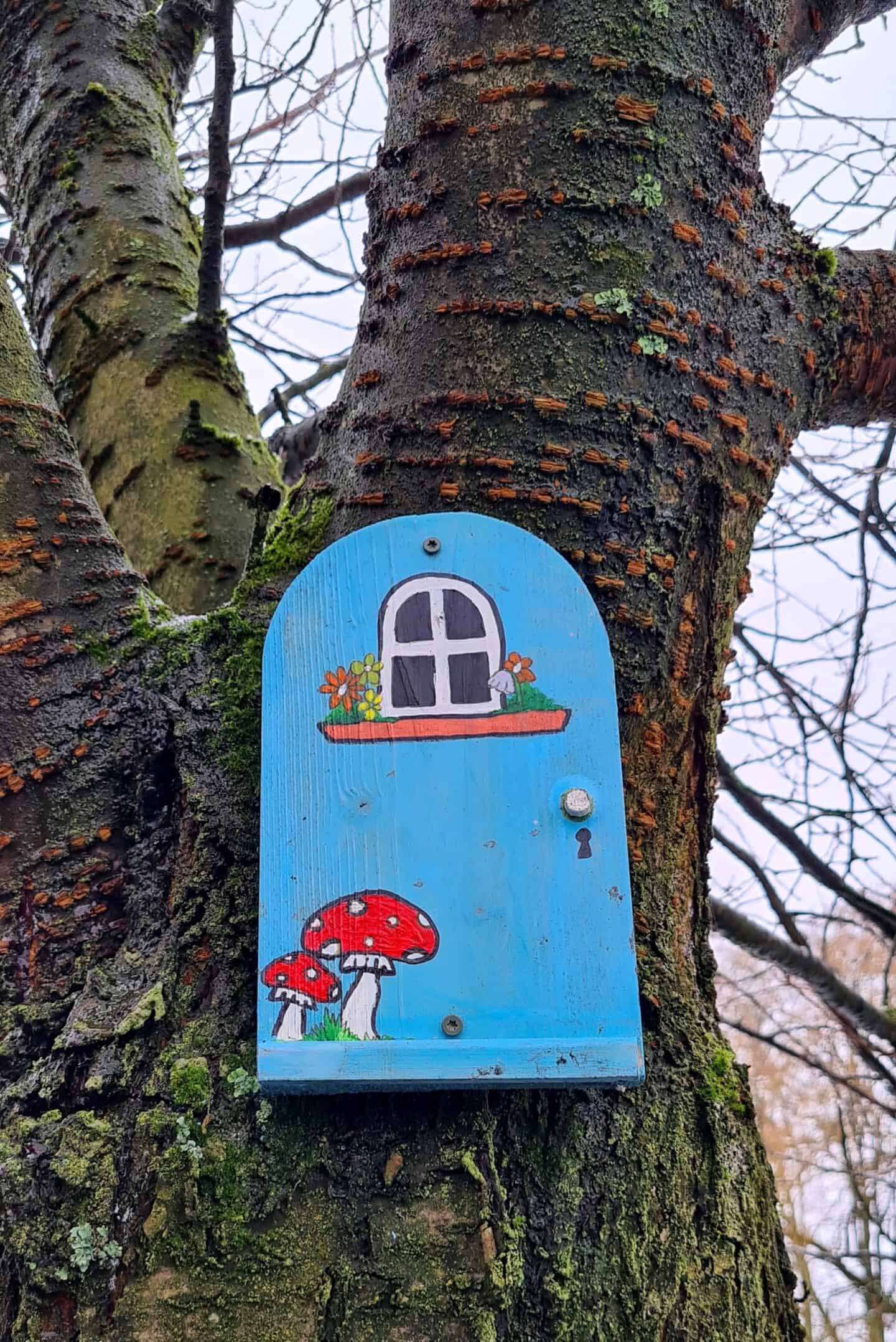 Fairy doors in Alkrington Woods