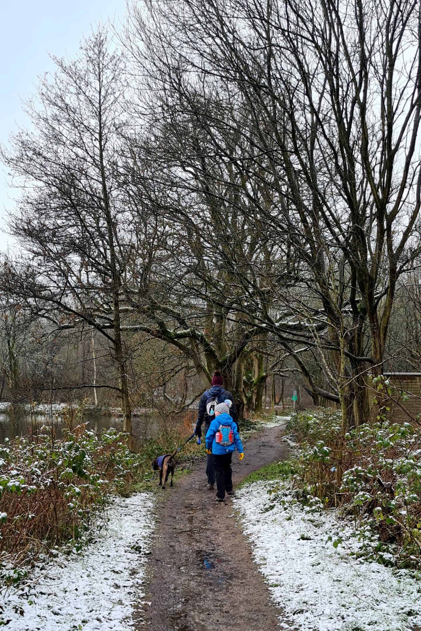 Alkrington Woods - Walks with kids