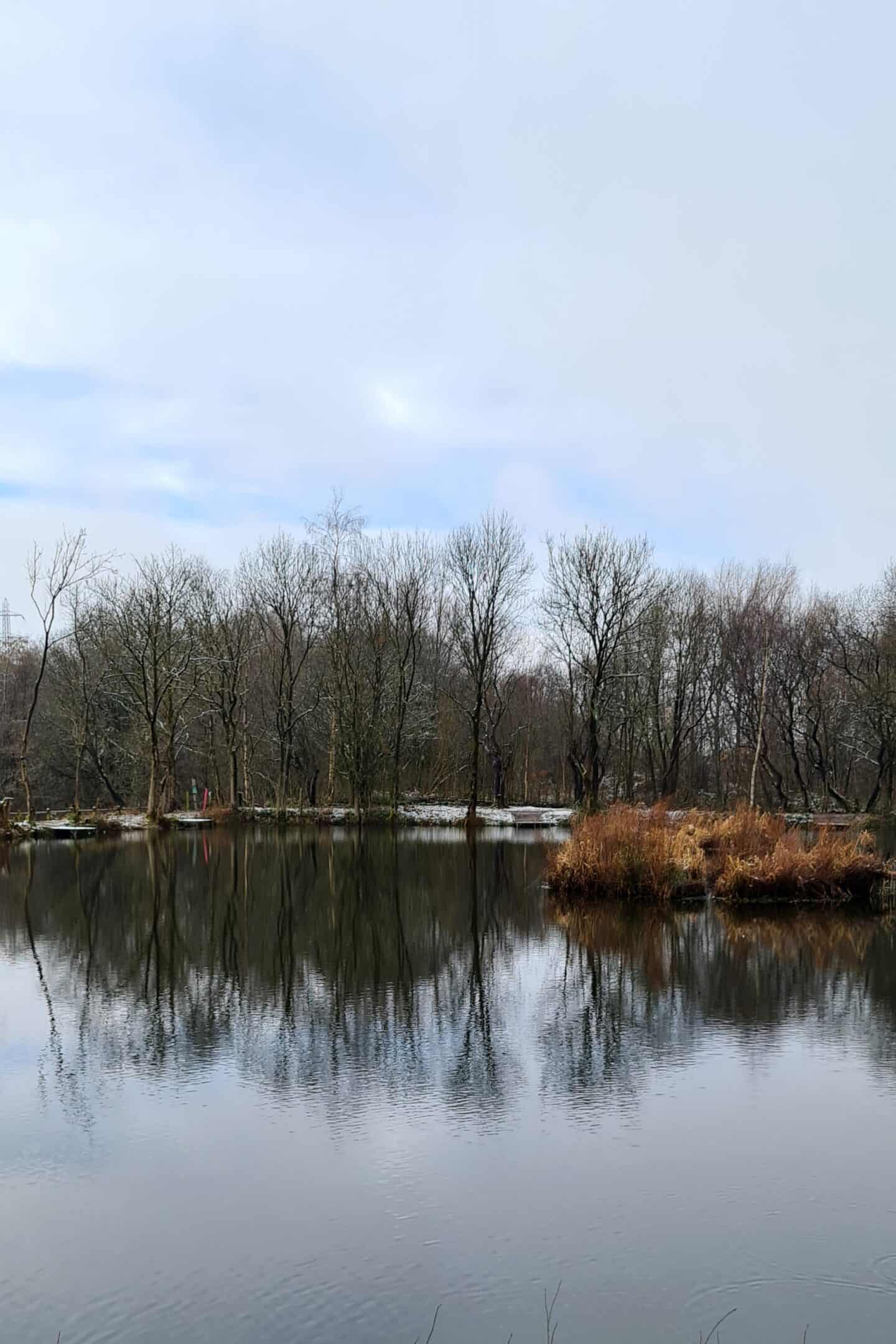 Alkrington Woods