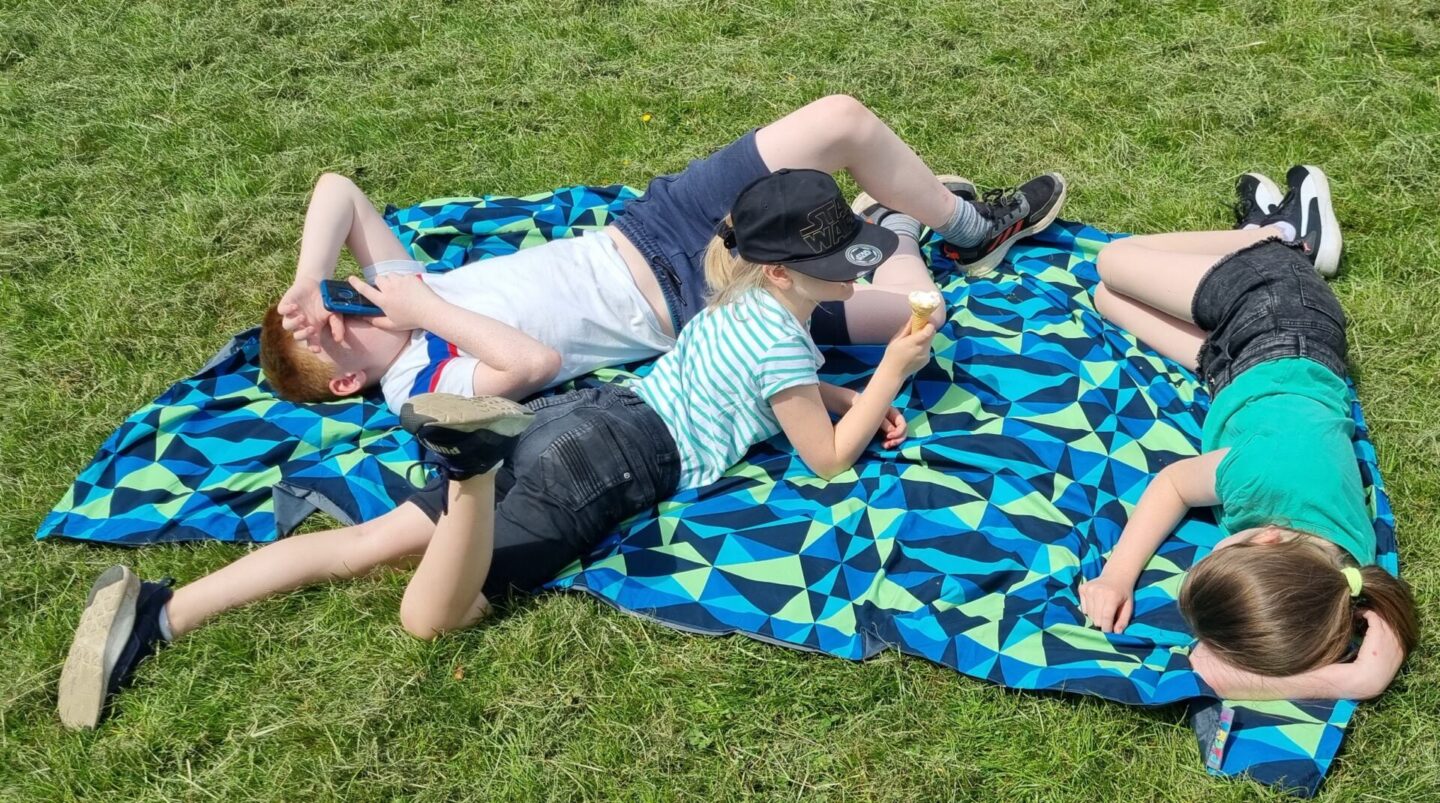 XL picnic blanket without ground sheet pegs