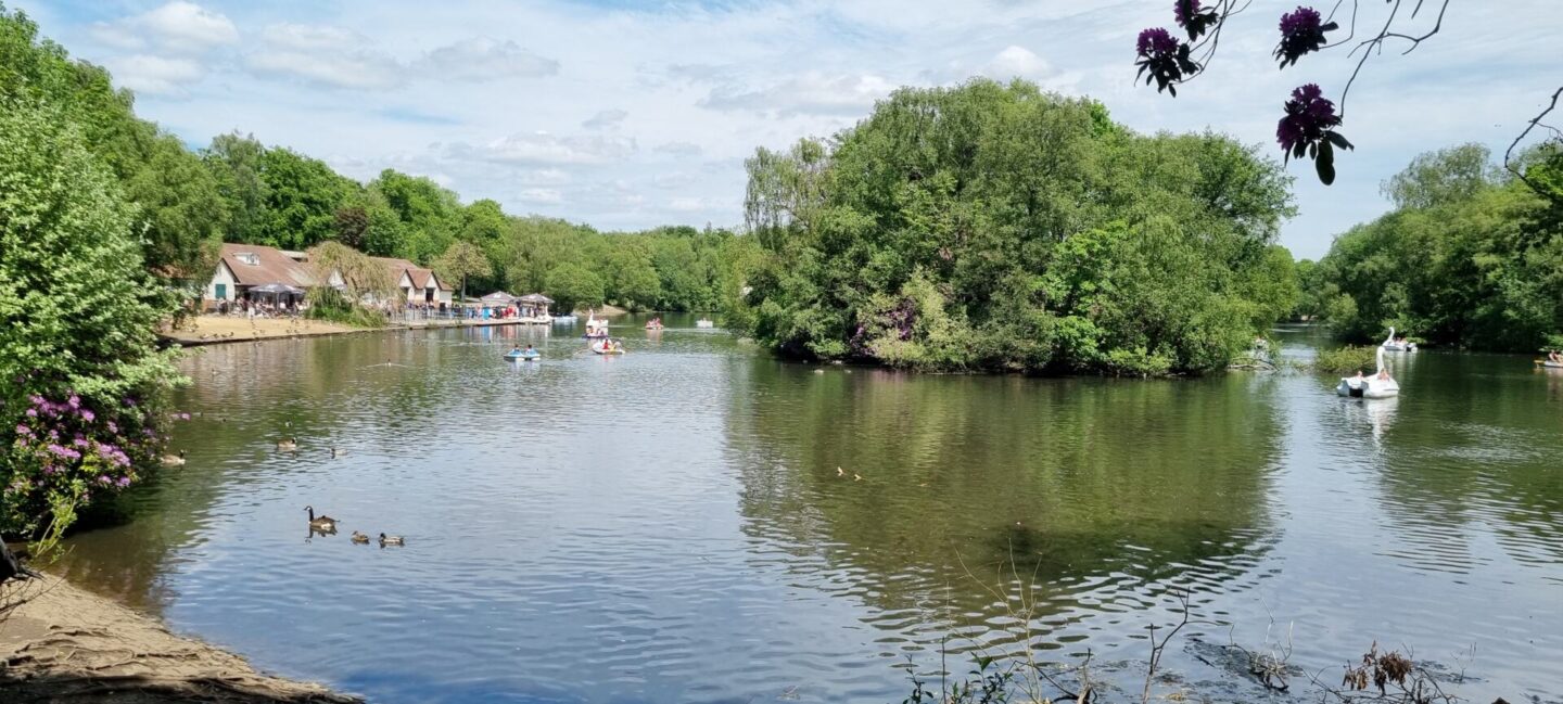 Heaton Park Boats - pre-booked a swan, pedal boat or rowing boat for Heaton Park Lake