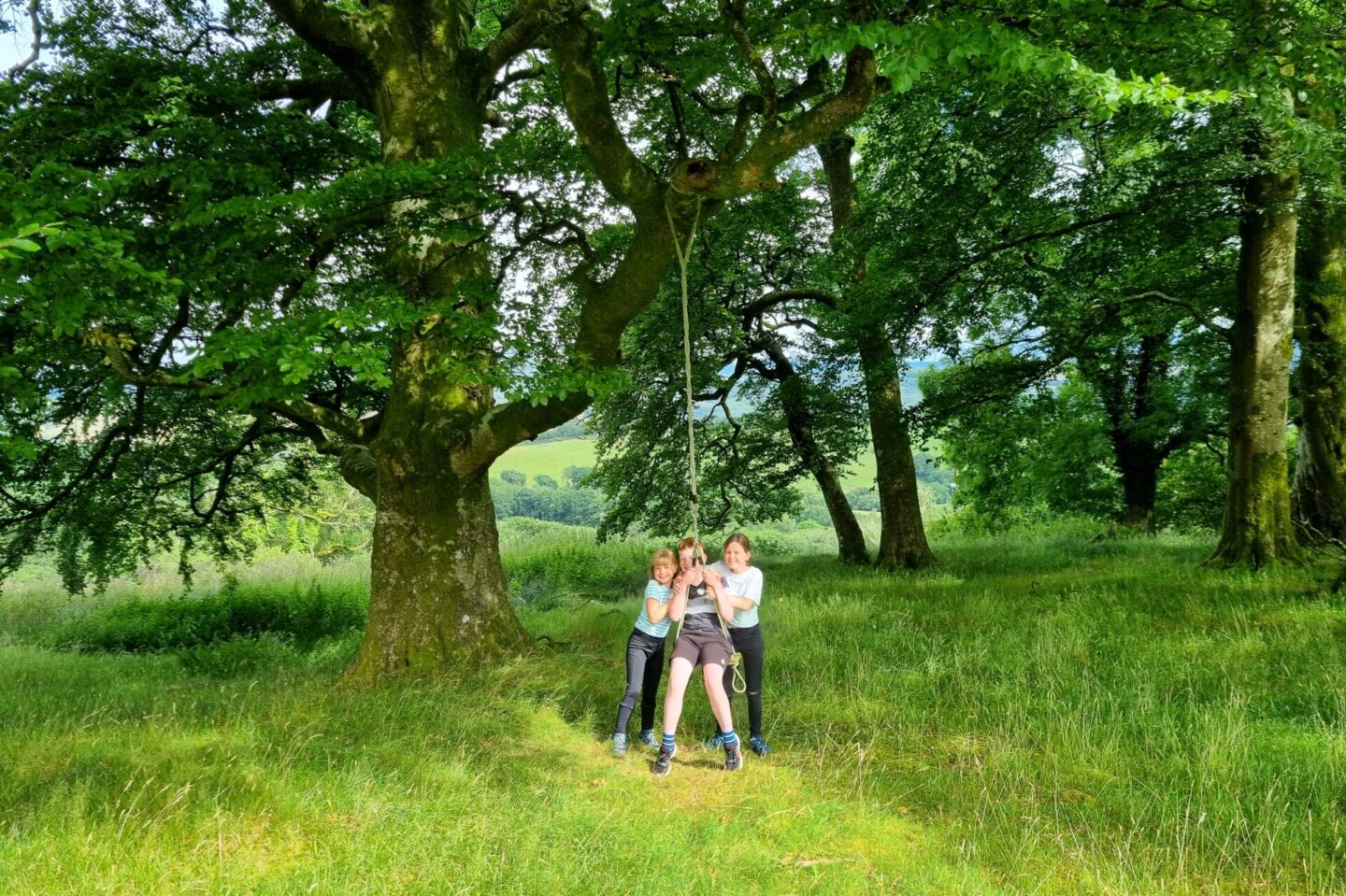 Rope swing in the fields opposite Penygaer Farm