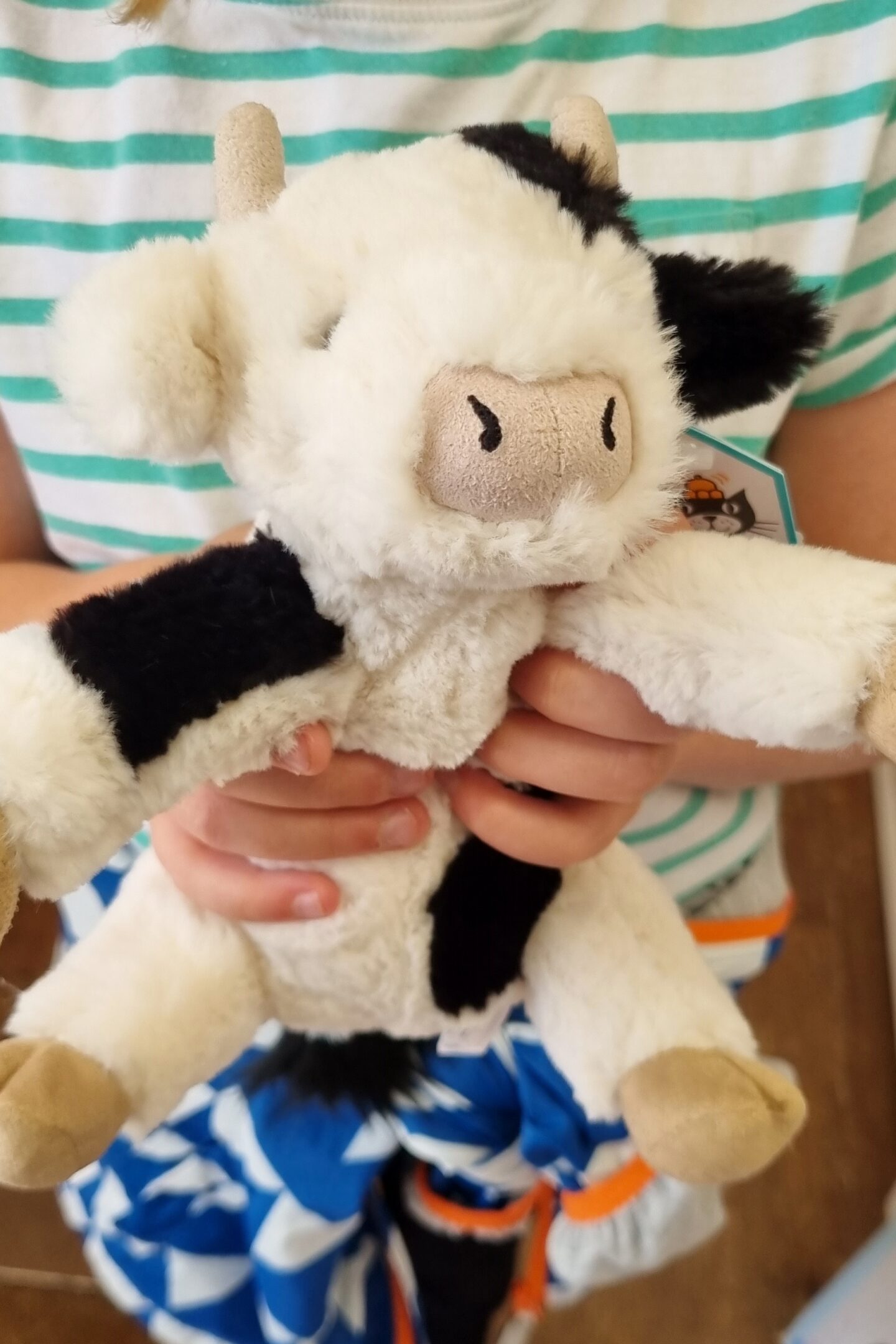 A new jelly cat calf