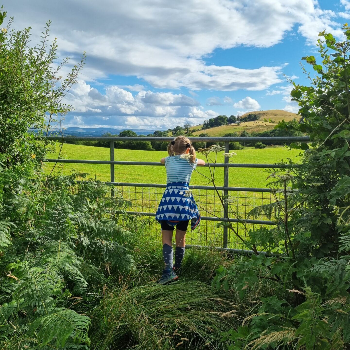 Taking in the view near Llandovery in rural Carmarthenshire, Wales