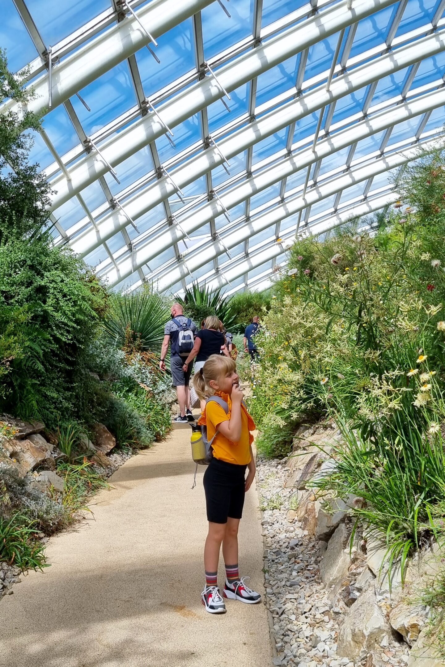 Inside the largest greenhouse at the Welsh botanical gardens